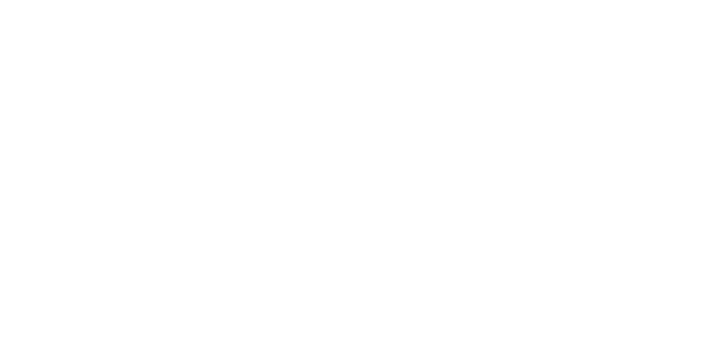 Viken Industrilakk logo hvit